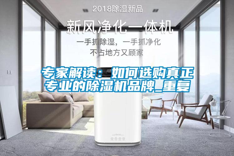 专家解读:如何选购真正专业的除湿机品牌_重复