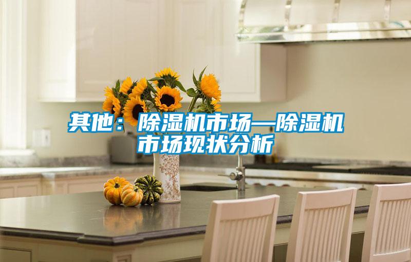 其他:除湿机市场—除湿机市场现状分析