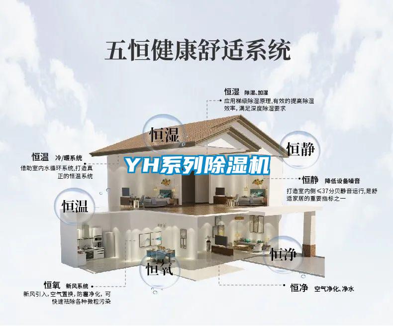 YH系列除湿机
