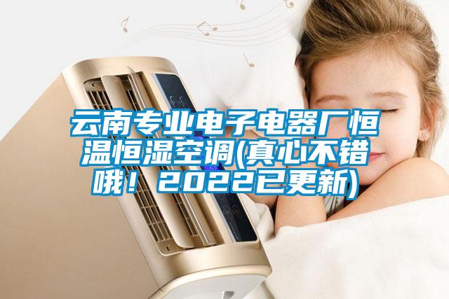 云南专业电子电器厂恒温恒湿空调(真心不错哦!2022已更新)