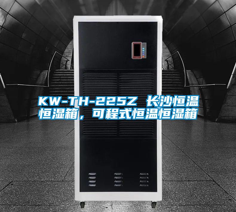 KW-TH-225Z 长沙恒温恒湿箱,可程式恒温恒湿箱
