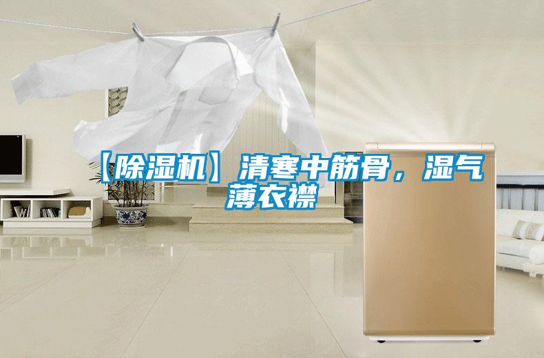 【除湿机】清寒中筋骨,湿气薄衣襟