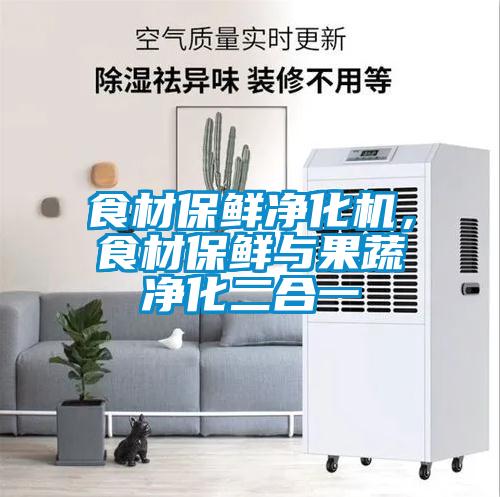 食材保鲜净化机,食材保鲜与果蔬净化二合一