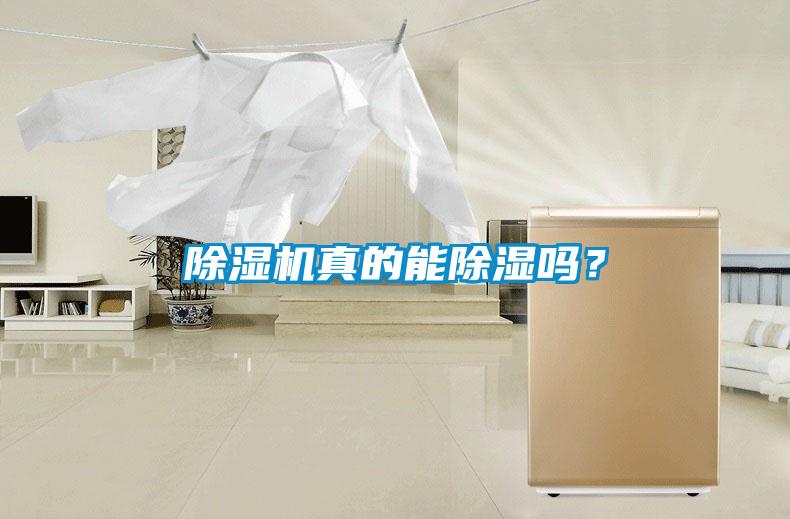 除湿机真的能除湿吗?