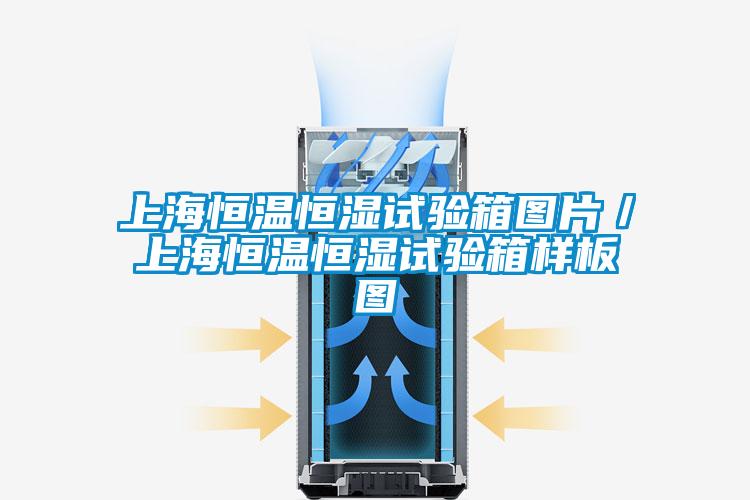 上海恒温恒湿试验箱图片/上海恒温恒湿试验箱样板图