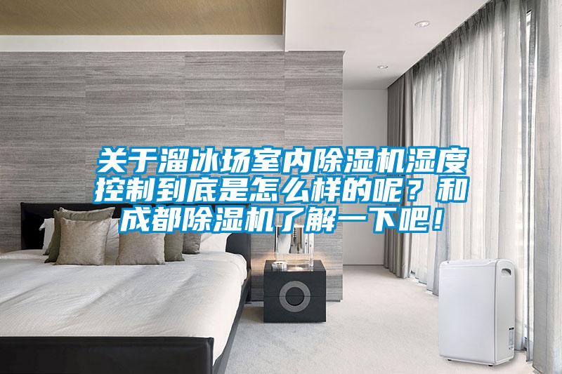 关于溜冰场室内除湿机湿度控制到底是怎么样的呢?和成都除湿机了解一下吧!