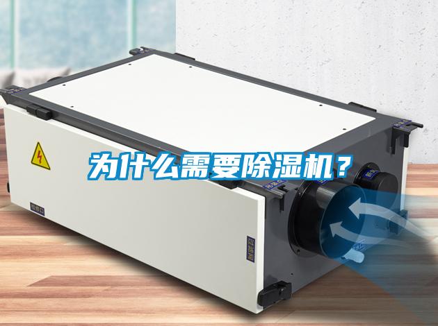 为什么需要除湿机?