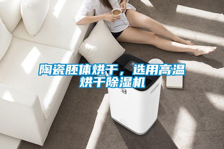 陶瓷胚体烘干,选用高温烘干除湿机