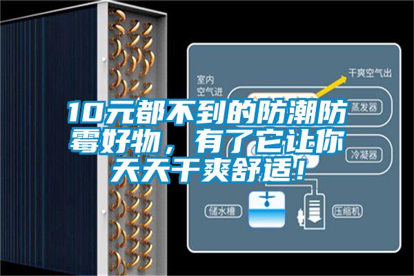 10元都不到的防潮防霉好物,有了它让你天天干爽舒适!