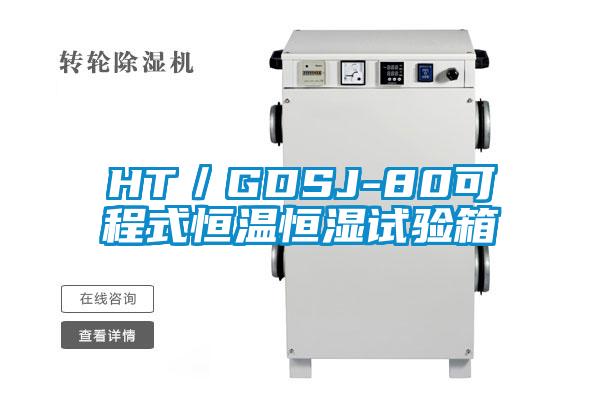 HT/GDSJ-80可程式恒温恒湿试验箱