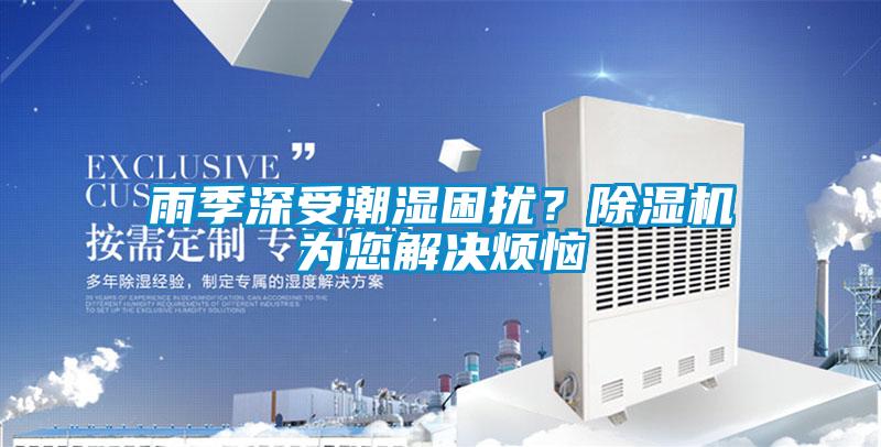 雨季深受潮湿困扰?除湿机为您解决烦恼