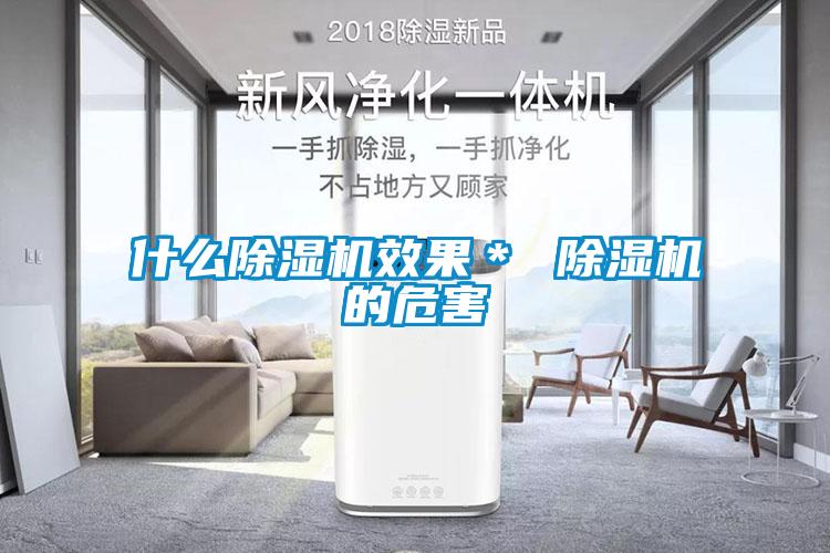 什么除湿机效果* 除湿机的危害