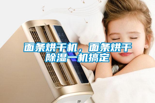 面条烘干机,面条烘干除湿一机搞定