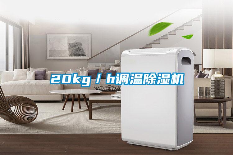 20kg/h调温除湿机