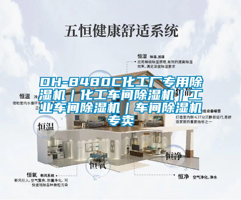 DH-8480C化工厂专用除湿机|化工车间除湿机|工业车间除湿机|车间除湿机专卖