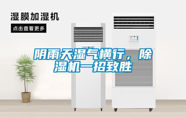 阴雨天湿气横行,除湿机一招致胜