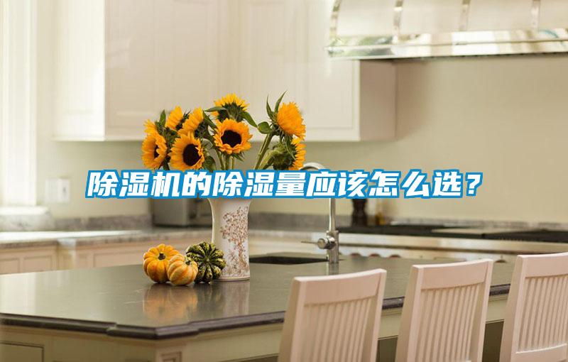 除湿机的除湿量应该怎么选?