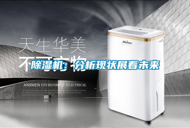 除湿机:分析现状展看未来