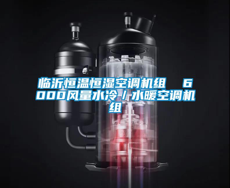临沂恒温恒湿空调机组  6000风量水冷/水暖空调机组