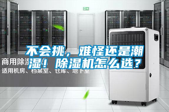 不会挑,难怪还是潮湿!除湿机怎么选?