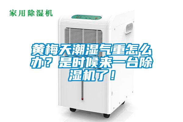 黄梅天潮湿气重怎么办?是时候来一台除湿机了!