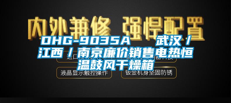 DHG-9035A   武汉/江西/南京廉价销售电热恒温鼓风干燥箱