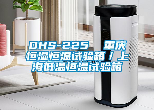 DHS-225  重庆恒湿恒温试验箱/上海低温恒温试验箱