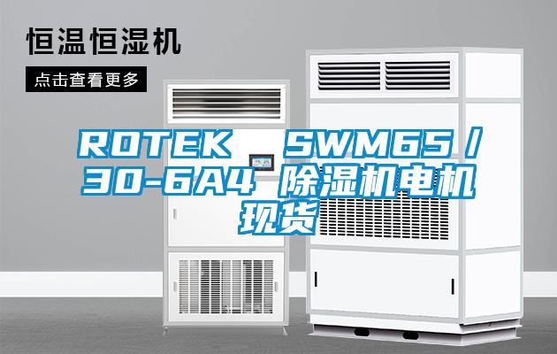 ROTEK  SWM65/30-6A4 除湿机电机现货