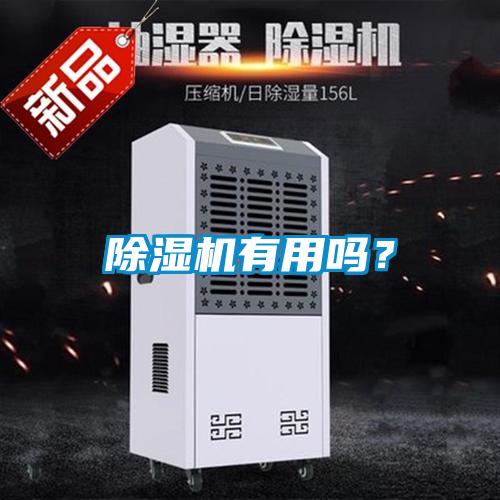 除湿机有用吗?