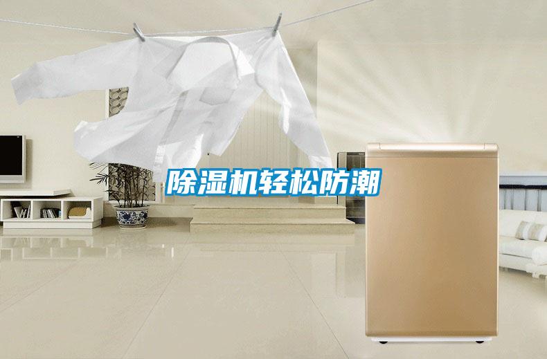除湿机轻松防潮