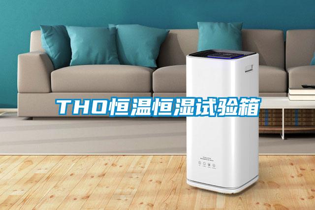 THO恒温恒湿试验箱