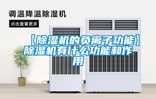 【除湿机的负离子功能】除湿机有什么功能和作用