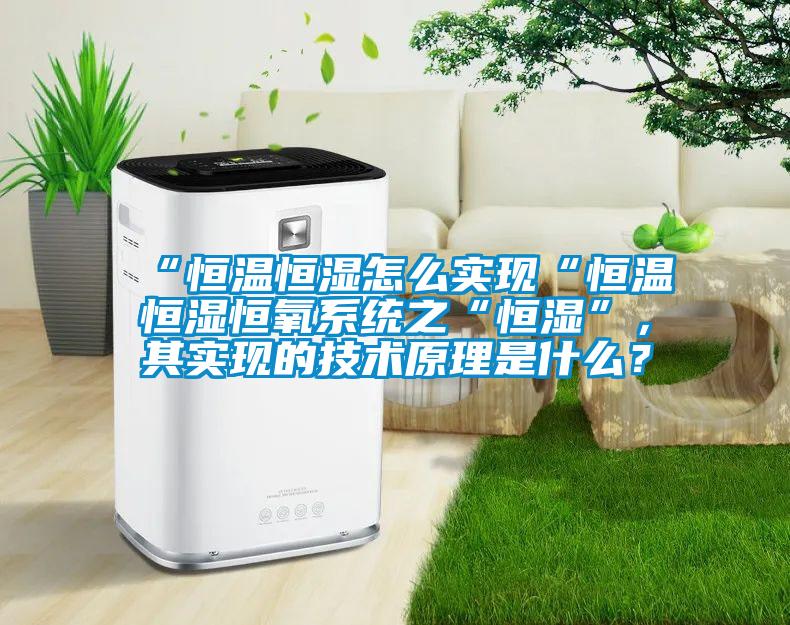 “恒温恒湿怎么实现“恒温恒湿恒氧系统之“恒湿”,其实现的技术原理是什么?