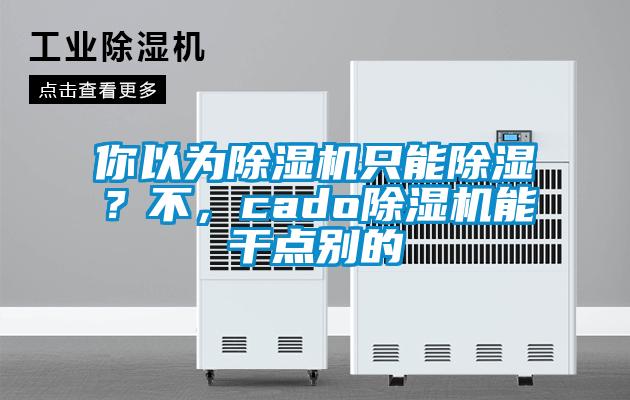 你以为除湿机只能除湿?不,cado除湿机能干点别的