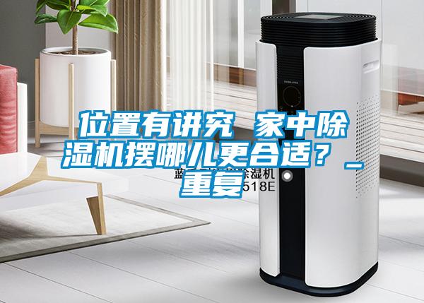 位置有讲究 家中除湿机摆哪儿更合适?_重复