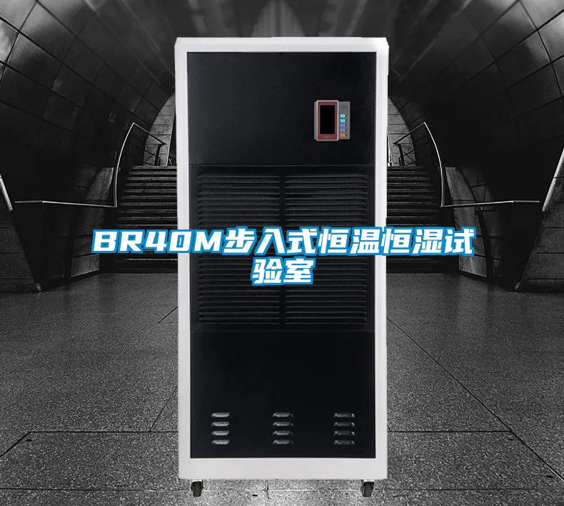BR40M步入式恒温恒湿试验室