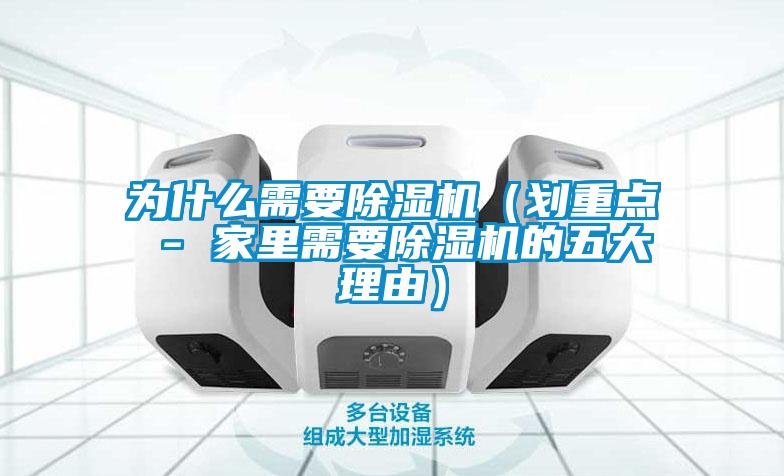 为什么需要除湿机(划重点 - 家里需要除湿机的五大理由)