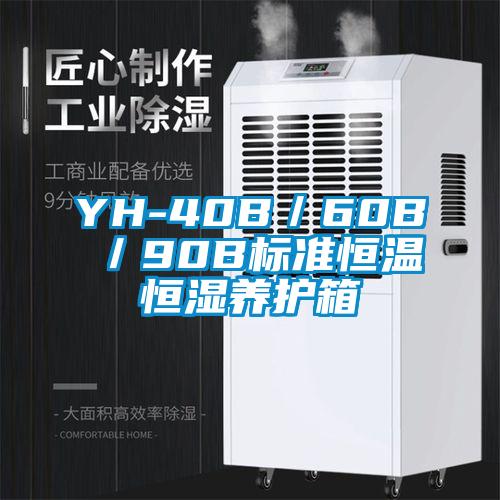 YH-40B/60B/90B标准恒温恒湿养护箱