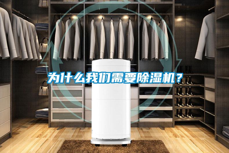 为什么我们需要除湿机?
