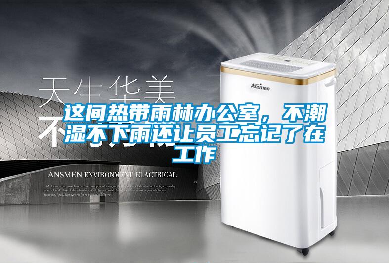 这间热带雨林办公室,不潮湿不下雨还让员工忘记了在工作