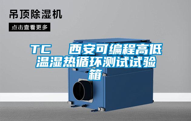 TC  西安可编程高低温湿热循环测试试验箱