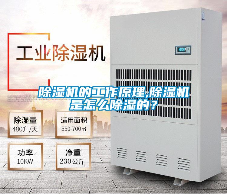 除湿机的工作原理,除湿机是怎么除湿的?