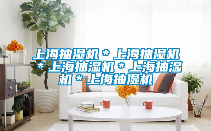 上海抽湿机*上海抽湿机*上海抽湿机*上海抽湿机*上海抽湿机