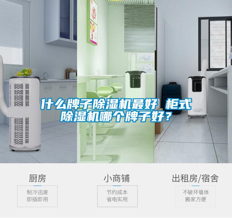 什么牌子除湿机最好 柜式除湿机哪个牌子好?