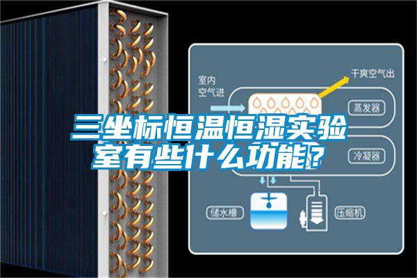 三坐标恒温恒湿实验室有些什么功能?