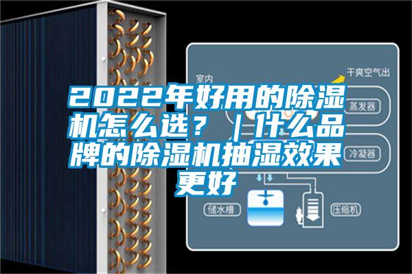 2022年好用的除湿机怎么选?|什么品牌的除湿机抽湿效果更好