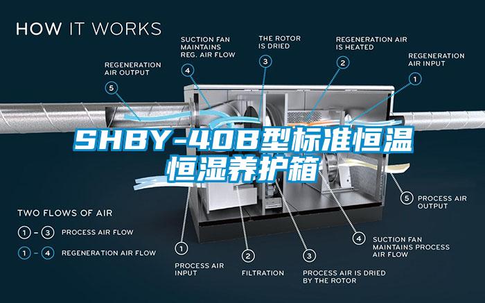 SHBY-40B型标准恒温恒湿养护箱