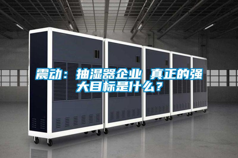 震动:抽湿器企业 真正的强大目标是什么?