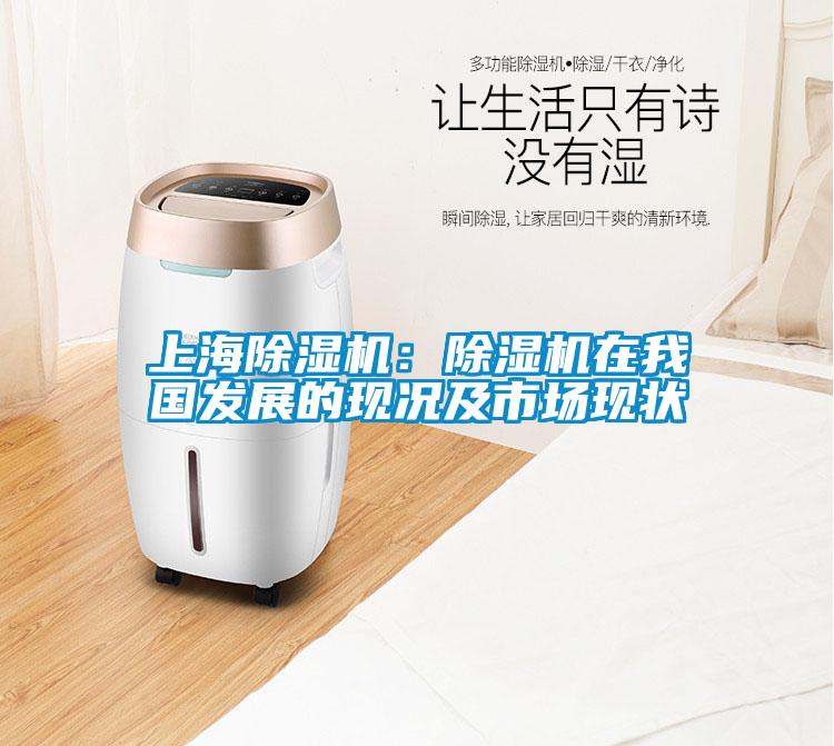 上海除湿机:除湿机在我国发展的现况及市场现状