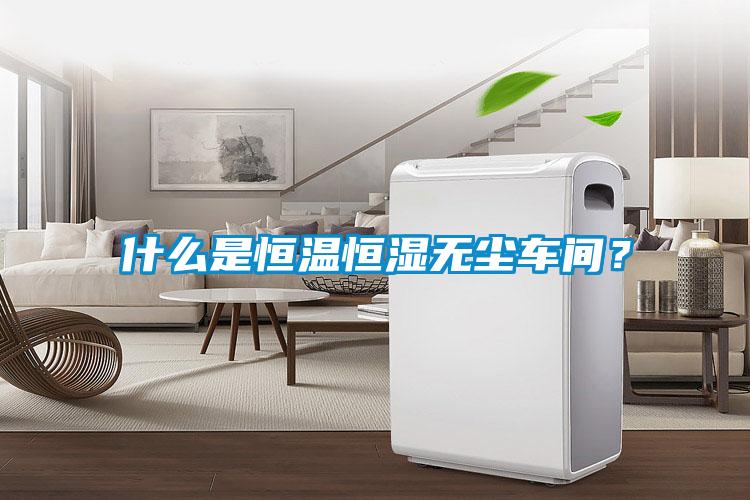 什么是恒温恒湿无尘车间?